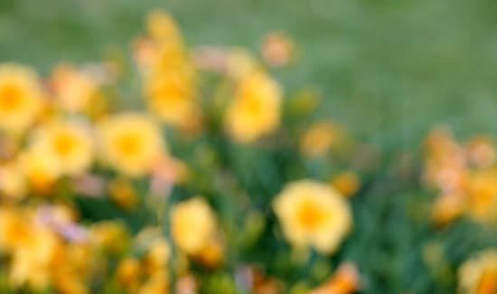 Blurry Vision Cataract Signs and Symptoms