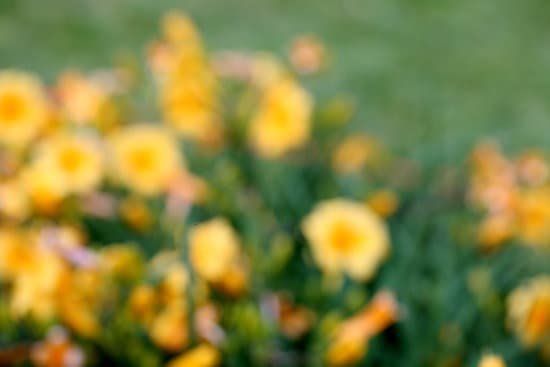 Cataract Signs and Symptoms